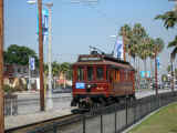501 along fence sm.JPG (138285 bytes)