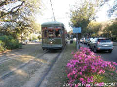 New_Orleans_920_St_Charles_flowers_sm.jpg (221995 bytes)