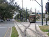 New Orleans 934 leaves City Park sm.jpg (157135 bytes)