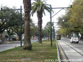 New Orleans City Park ROW sm.jpg (201142 bytes)